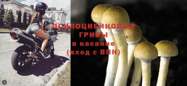 ПСИЛОЦИБИНОВЫЕ ГРИБЫ Нягань